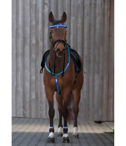 Clearance Collier de chasse LED Loom Colliers De Chasse & Martingales