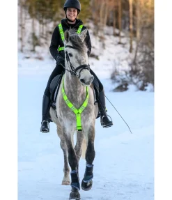 Clearance Collier de chasse réfléchissant Stripes Colliers De Chasse & Martingales