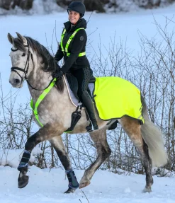 Clearance Collier de chasse réfléchissant Stripes Colliers De Chasse & Martingales