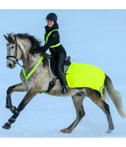 Clearance Collier de chasse réfléchissant Stripes Colliers De Chasse & Martingales