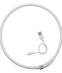 Discount Collier lumineux-LED Matériel Réflechissant Pour Chiens|Harnais & Colliers Pour Chien