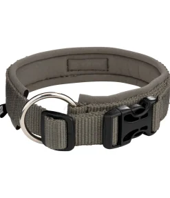 Best Collier pour chien Becks Harnais & Colliers Pour Chien