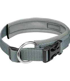 Best Collier pour chien Becks Harnais & Colliers Pour Chien