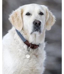 Discount Collier pour chien Rope Harnais & Colliers Pour Chien