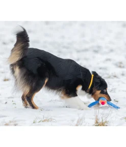 Clearance Collier pour chien Rope Harnais & Colliers Pour Chien