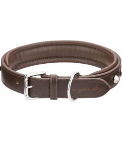 Sale Collier pour chien en cuir Chinook Harnais & Colliers Pour Chien