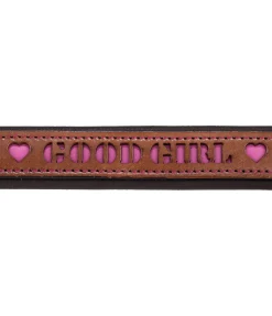 Hot Collier pour chien en cuir Good Dog Harnais & Colliers Pour Chien