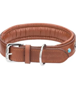 Online Collier pour chien en cuir Chinook Harnais & Colliers Pour Chien