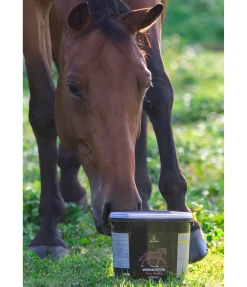 New Complément minéral premium Junior Compléments Minéraux