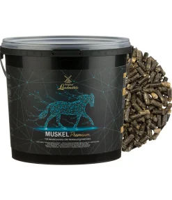 Best Complément premium musculature Aliments Complémentaires