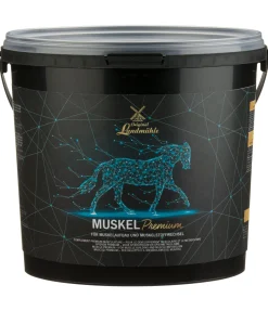 Best Complément premium musculature Aliments Complémentaires