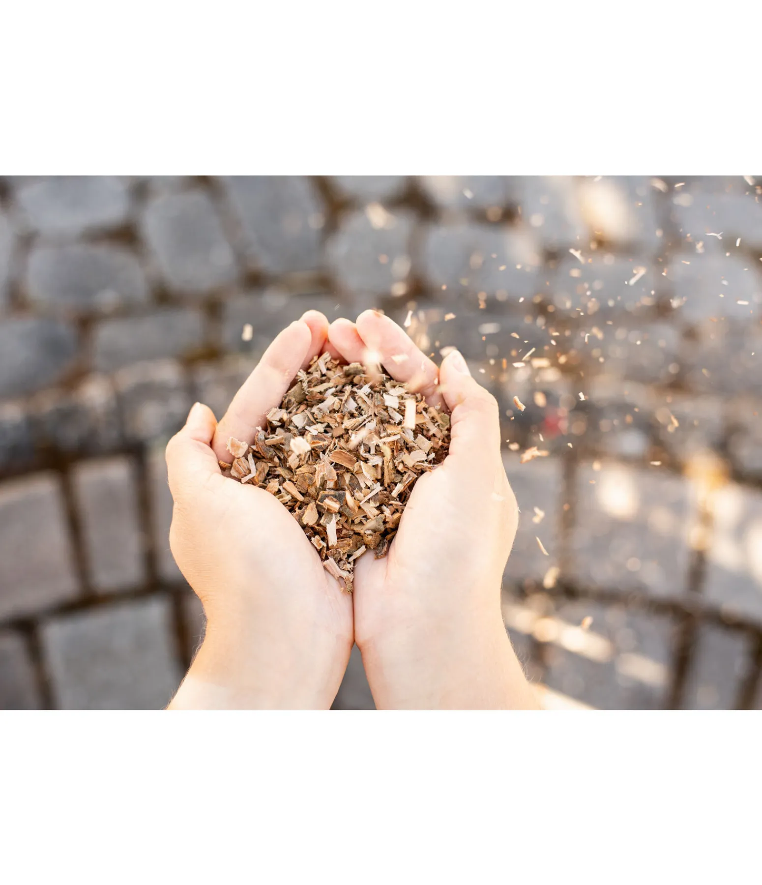 Discount Écorce de saule pour cheval Aliments Complémentaires