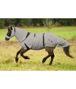 Best Couverture anti-eczéma pour chevaux islandais Produits Dermite Estivale
