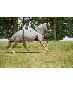 Best Couverture anti-eczéma pour chevaux islandais Produits Dermite Estivale