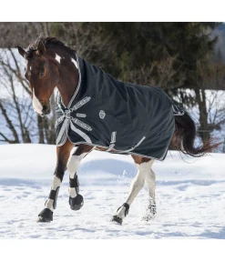 Couverture d'extérieur Highneck Paddock Reflective, 350 g Couvertures Imperméables & D'Hiver