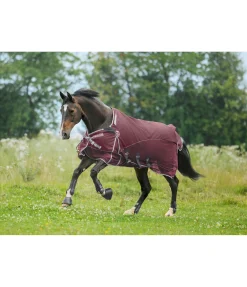 Best Couverture tous-temps Perfect Fit Couvertures Anti-Mouches|Chemises Anti-Mouches