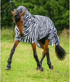 Outlet Couverture zébrée anti-eczéma Gibson II Couvertures Anti-Mouches|Couvertures Anti-Eczéma