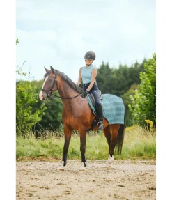 Online Couvre-reins anti-mouches Economy Light Chemises Anti-Mouches|Couvertures Anti-Mouches