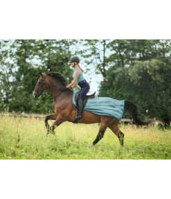 Online Couvre-reins anti-mouches Economy Light Chemises Anti-Mouches|Couvertures Anti-Mouches