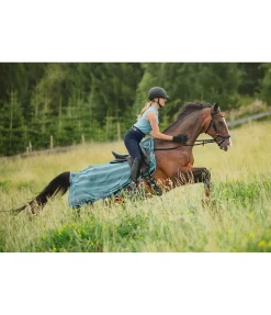 Online Couvre-reins anti-mouches Economy Light Chemises Anti-Mouches|Couvertures Anti-Mouches