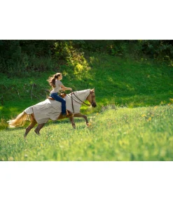 Discount Couvre-reins anti-mouches pour chevaux western avec couvre-cou enroulable Chemises Anti-Mouches|Couvertures Anti-Mouches