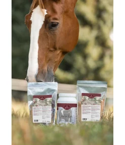 Sale Cynorrhodon moulu Aliments Complémentaires