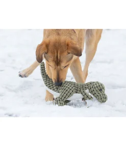 Dinosaure en peluche pour chien Rexy Jouets Pour Chien