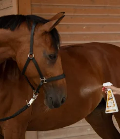 Clearance Déo pour chevaux Orange Noix Produits Anti-Mouches
