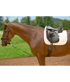 Best Enrênement Enrênements