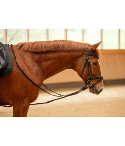 Best Enrênement Enrênements