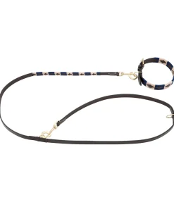 Best Ensemble collier et laisse en cuir pour chien Polo Sports Laisses Pour Chien|Harnais & Colliers Pour Chien