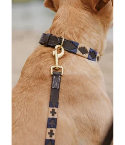 Best Ensemble collier et laisse en cuir pour chien Polo Sports Laisses Pour Chien|Harnais & Colliers Pour Chien