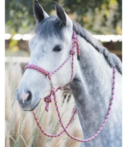Online Ensemble licol à noeuds All-in-One Licols À Noeuds