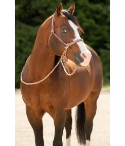 Online Ensemble licol à noeuds All-in-One Licols À Noeuds