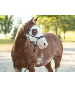 Discount Ensemble licol à noeuds et longe Soft Licols À Noeuds