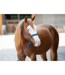 Outlet Ensemble licol à noeuds et longe Soft Licols À Noeuds