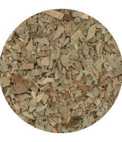 Outlet Eucalyptus Aliments Complémentaires