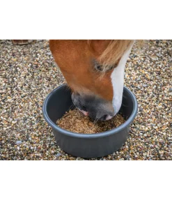 Online Fibres de betterave Granulés & Fourrage