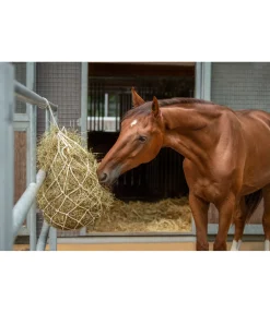Outlet Filet à foin en coton Équipement Pour Le Box|Filets À Foin