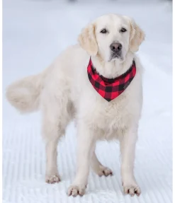 Online Foulard pour chien Henry Accessoires Pour Chien