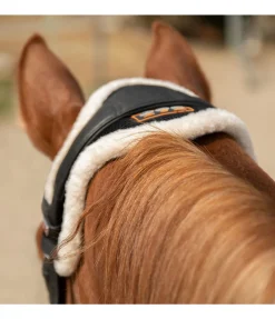 Sale Fourreau de têtière Ceramic Rehab Accessoires De Briderie