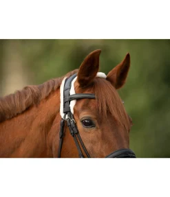 Sale Fourreau de têtière Ceramic Rehab Accessoires De Briderie