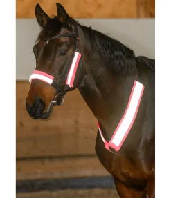 Hot Fourreaux réfléchissants pour bridon Accessoires De Briderie