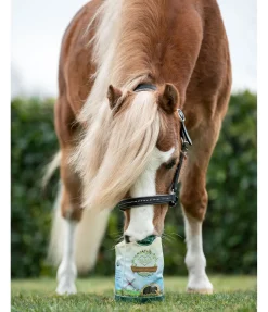 Online Friandises à base de tourteau de lin Nature Friandises & Récompenses