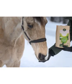 Hot Friandises à la noisette Out of the Woods Friandises & Récompenses