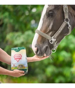 Online Friandises magiques système nerveux renforcé Friandises & Récompenses|Aliments Complémentaires