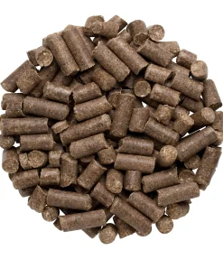 Best Friandises naturelles à la carotte Friandises & Récompenses