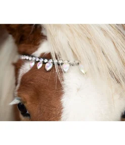 Outlet Frontal Silfra Frontaux