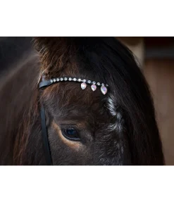 Outlet Frontal Silfra Frontaux