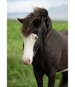 Outlet Frontal Skína Frontaux